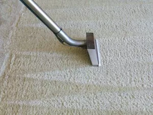 Carpet Steam Cleaning